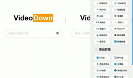在线视频下载器,揭秘高效视频下载器